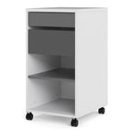Function Plus Desk White Grey Or Mobile File Cabinet 2 Drawers +1 Shelf - FURNITURE CURLS