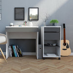 Function Plus Desk White Grey Or Mobile File Cabinet 2 Drawers +1 Shelf - FURNITURE CURLS