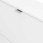 Shoes White Cabinet 2 Tilting Doors(1or2 Layers) - FURNITURE CURLS