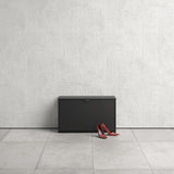 Shoes Matt Black Cabinet 1 Tilting Door (2 Layers) - FURNITURE CURLS